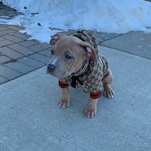 Meet your Posher, Shawn